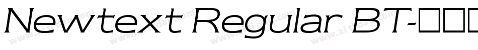 Newtext Regular BT字体转换